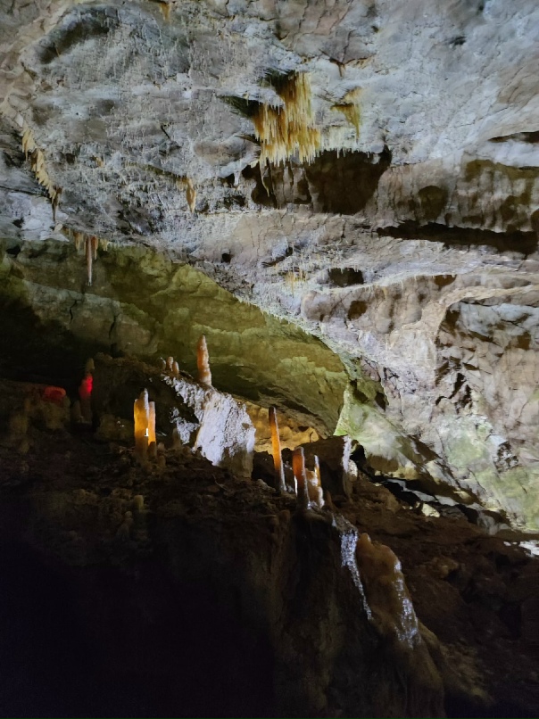 Виктория Уварова | Симферополь