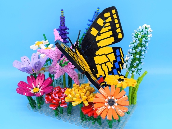 Екатерина Трапезникова | Пермь