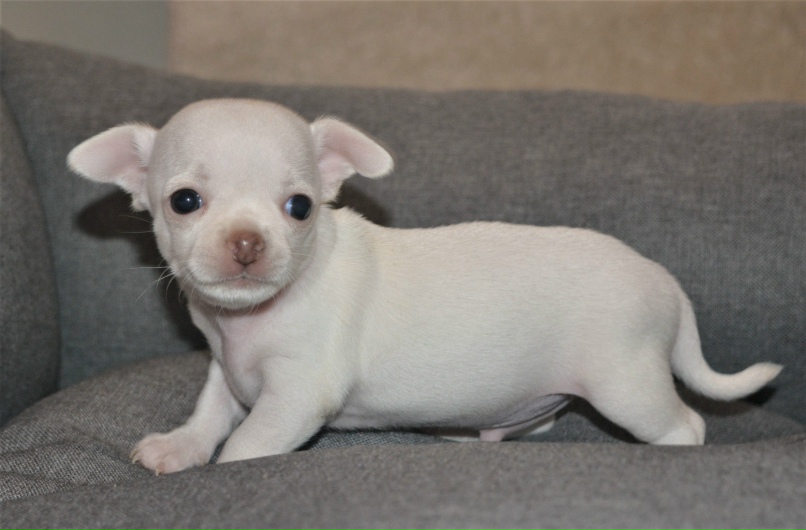 Яна Макарова | Череповец