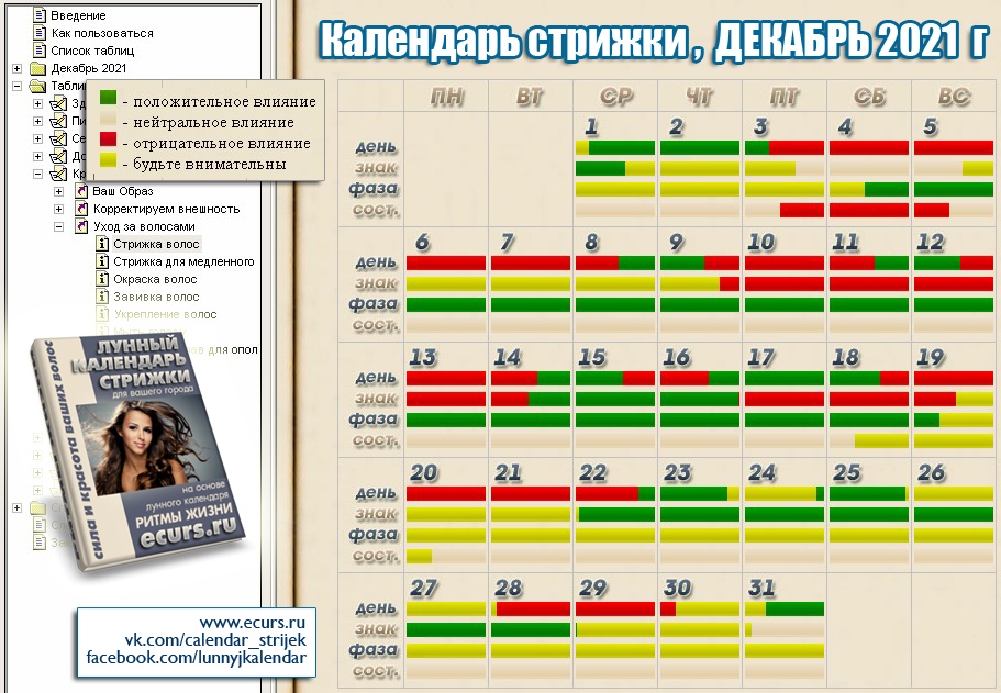 Дни стрижек апрель 2023