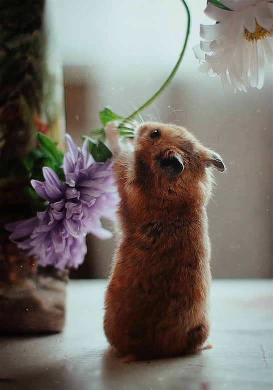 Анастасия Вахрушева | Ижевск