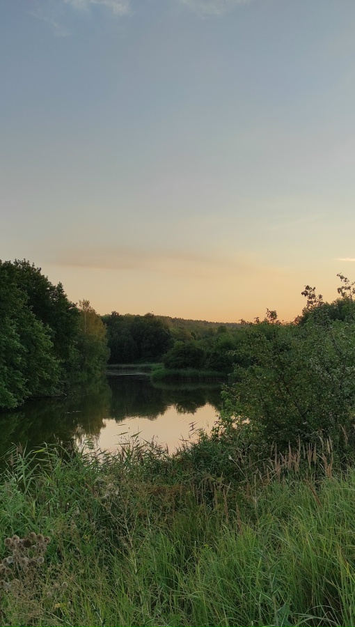 Алексей Кологривый | Борисоглебск