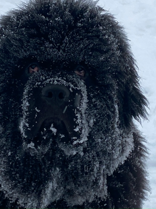 Маргарита Косарева | Санкт-Петербург