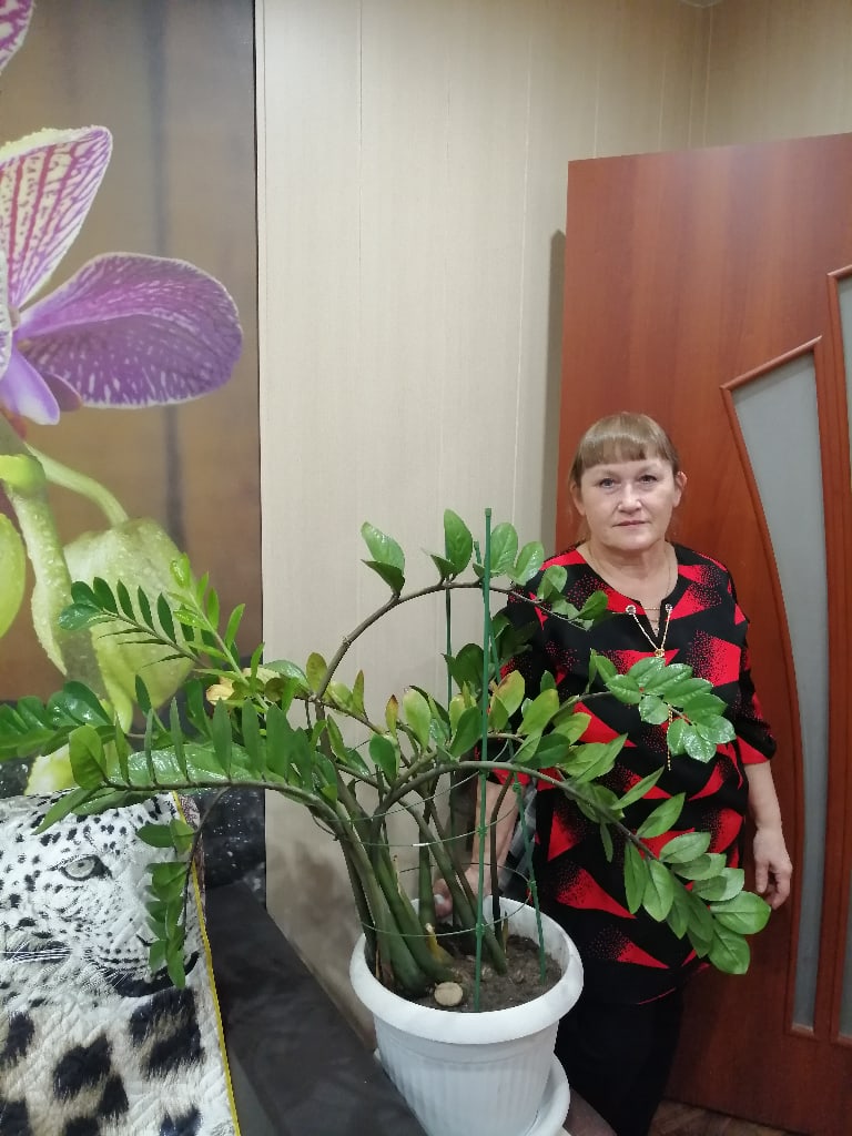 Татьяна Воронова | Оленегорск
