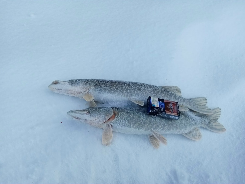 Александр Новиков | Челябинск