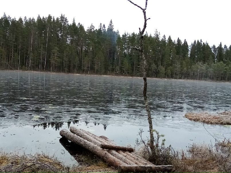 Маргарита Фоменко | Санкт-Петербург