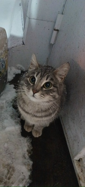 Здравствуйте, Очень хочется помочь маленькому...