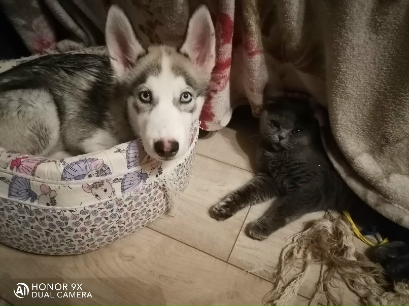 Алёна Дятлова | Рязань