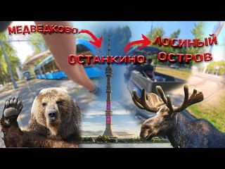Покатался | Медведково-Останкино-Лосиный остров