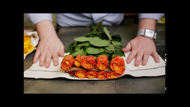 GFG, ЦВЕТЫ ОПТОМ. Роза, микс Плантация Black Petals