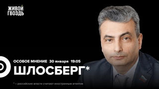 Дисквалификация Валиевой. Доносы Михалкова. Лев Шлосберг*: Особое мнение /  @