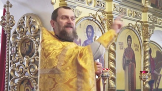 Протоиерей Виктор Иванов. Назидающее наказание.  г.