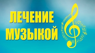 ЛЕЧЕНИЕ МУЗЫКОЙ. СЕКЛИТОВА Л.А. СТРЕЛЬНИКОВА Л.Л. КНИГА ПРИЧИНЫ СТРАДАНИЙ.