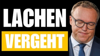 Umfrage Hammer: AfD-Stimmen explodiert CDU bricht ein