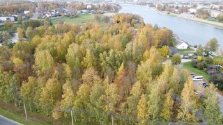 Самый красивый  ДендроПарк в Пскове