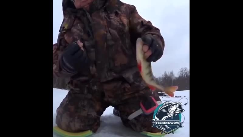 Зачетные