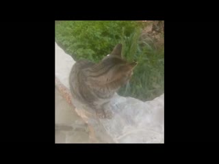 Па   дам -  слова   Евгений Меркулов музыка Наталья Первина поёт Иван Беретнёв