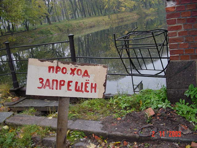 Ольга Цыплакова | Калининград