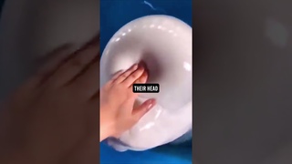 Beluga whales are very squishy