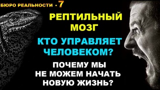 7. Рептильный мозг. Кто управляет человеком Почему мы не можем начать новую жизнь