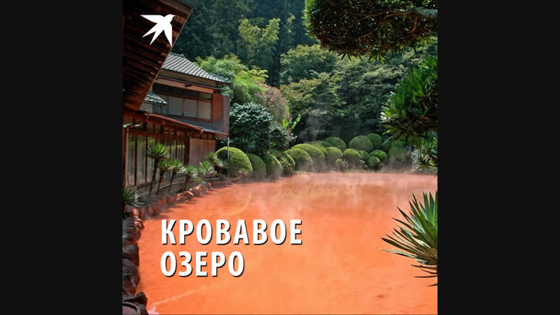 Кровавое