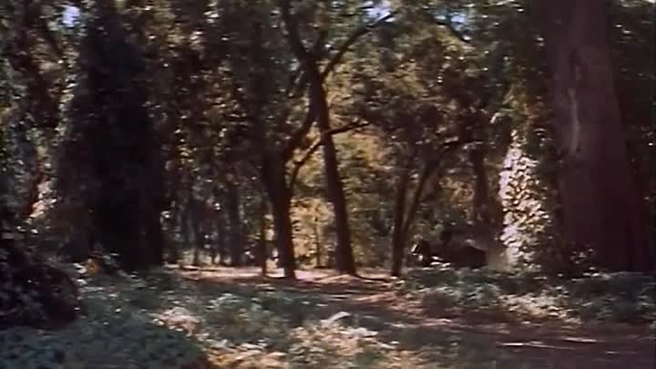 The Purple Mask ( H. Bruce Humberstone, 1955)
