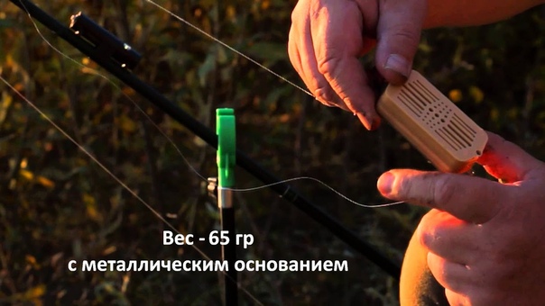 Электронная кормушка
