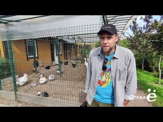 Отава Ё - приглашение на online концерт  (invitation - online concert)