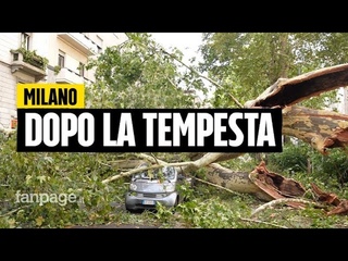 Temporale nella notte a Milano, i cittadini: "Sembrava l’apocalisse, ora la città è devastata"