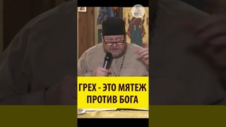 Грех - это мятеж против Бога! Священник Олег Стеняев #shorts