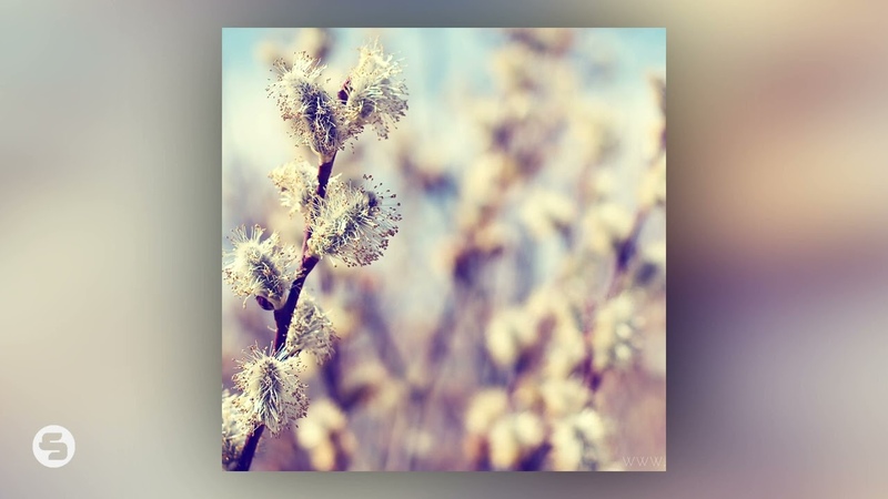 Nora En Pure Come With Me Slowed +