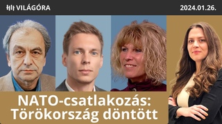 Energiaellts: Eurpa csapdba kerlt - TARIK DEMIRKAN, HORTAY OLIVR, SS GNES